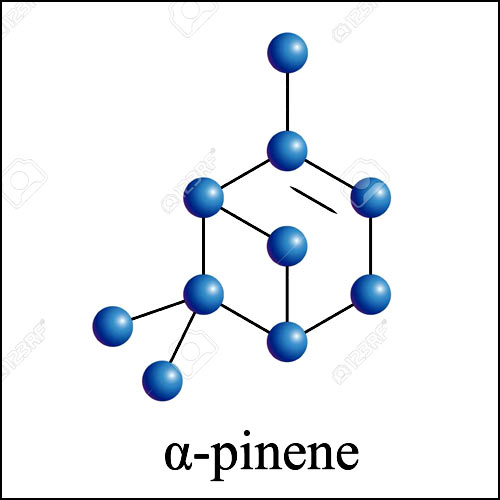 alpha-pinene