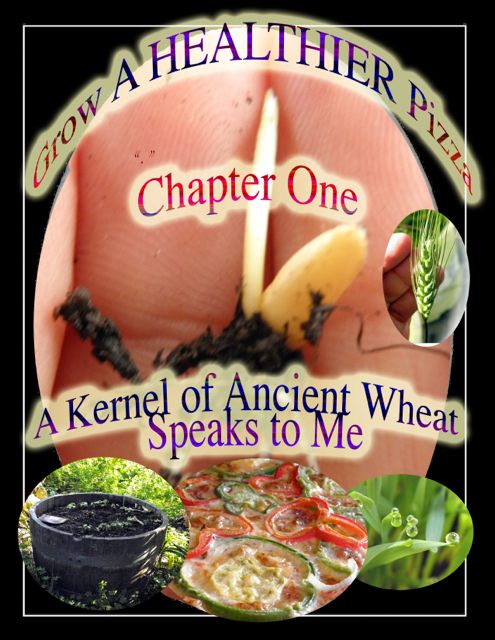 http://curezone.com/upload/Blogs/Your_Enchanted_Gardener/1_Kernel_of_Wheat_speaks_to_me_medium.jpg