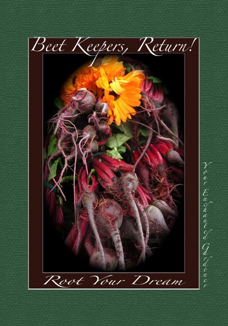 http://curezone.com/upload/Blogs/Your_Enchanted_Gardener/BEET_ART_FALL_09_7_Medium.jpg