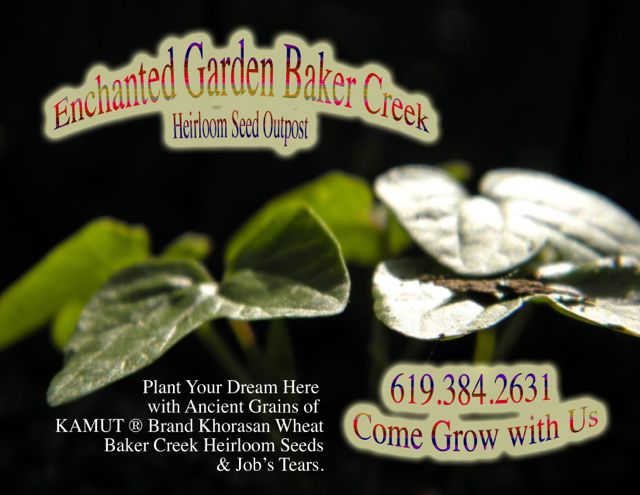 http://curezone.com/upload/Blogs/Your_Enchanted_Gardener/Baker_Creek_Enchanted_Garden_Outpost_medium.jpg