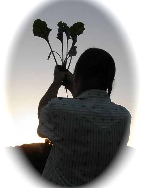 http://curezone.com/upload/Blogs/Your_Enchanted_Gardener/Barry_holding_up_beet1.jpg