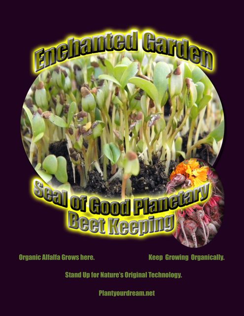 http://curezone.com/upload/Blogs/Your_Enchanted_Gardener/Beet_Keepers_Planetary_Seal_V_alfalfa_M_wrds.jpg