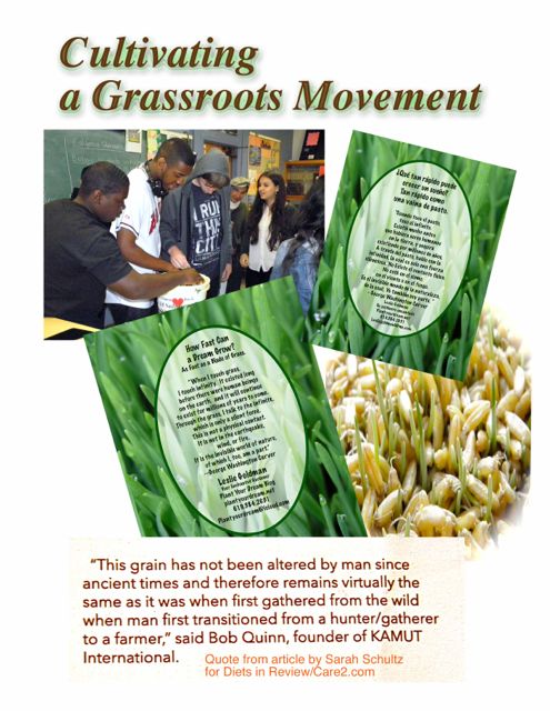 http://curezone.com/upload/Blogs/Your_Enchanted_Gardener/Cultivating_a_Grassroots_Movement.jpg