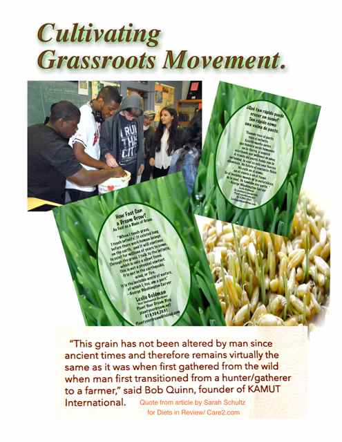 http://curezone.com/upload/Blogs/Your_Enchanted_Gardener/Cultivating_a_Grassroots_Movement_2_medium.jpg