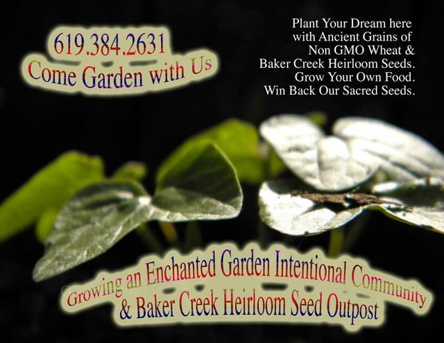 http://curezone.com/upload/Blogs/Your_Enchanted_Gardener/ENCHANTED_GARDEN_BAKER_CREEK_OUTPOST_20141.jpg