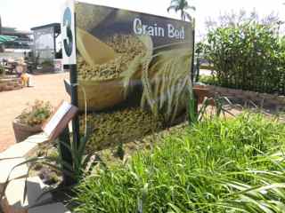 http://curezone.com/upload/Blogs/Your_Enchanted_Gardener/Grain_Bed_at_the_SD_Fairgrounds1.jpg