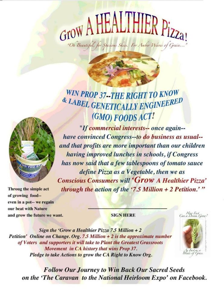 http://curezone.com/upload/Blogs/Your_Enchanted_Gardener/Grow_a_Healthier_Pizza_Petition_large_Curezone1.jpg