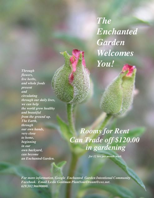 http://curezone.com/upload/Blogs/Your_Enchanted_Gardener/House_ad_w_o_rents.jpg