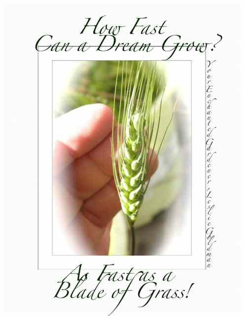 http://curezone.com/upload/Blogs/Your_Enchanted_Gardener/How_Fast_Can_A_Dream_Grow_ask_Leslie_Goldman4.jpg