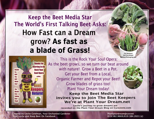 http://curezone.com/upload/Blogs/Your_Enchanted_Gardener/KEEP_THE_BEET_Fast_Grass_Grow_M_.jpg