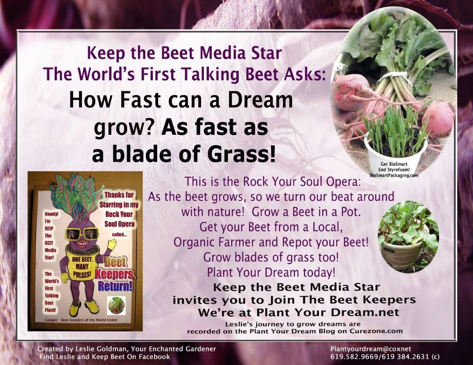 http://curezone.com/upload/Blogs/Your_Enchanted_Gardener/KEEP_THE_BEET_How_Fast_Grass_Grow_L.jpg