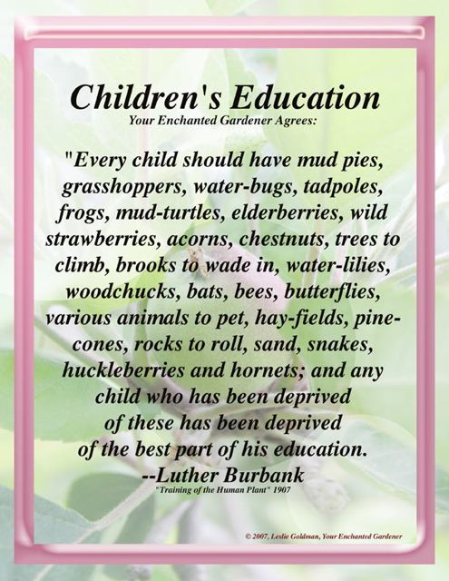 http://curezone.com/upload/Blogs/Your_Enchanted_Gardener/Luther_Burbank_Art_Leslie_Goldman_Childrens_Edu_copy.jpg