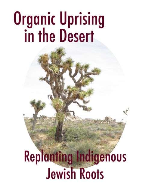 http://curezone.com/upload/Blogs/Your_Enchanted_Gardener/Organic_Uprising_in_the_Desert.jpg