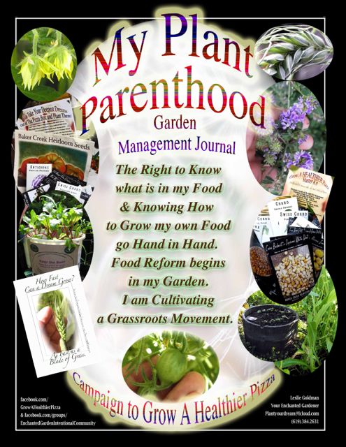 http://curezone.com/upload/Blogs/Your_Enchanted_Gardener/Plant_Parenthood_Project_Cover_2_Medium.jpg