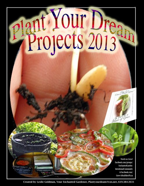 http://curezone.com/upload/Blogs/Your_Enchanted_Gardener/Plant_Your_Dream_Projects_2013_Medium.jpg