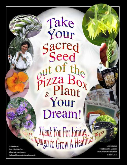 http://curezone.com/upload/Blogs/Your_Enchanted_Gardener/SACRED_SEED_OUT_OF_BOX_July_4_Medium1.jpg