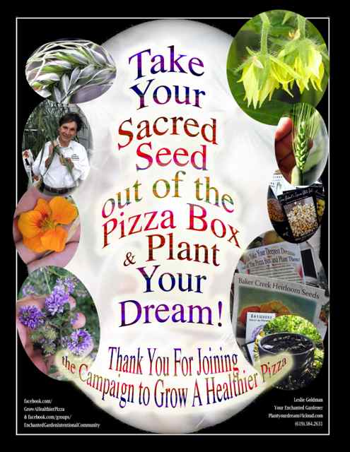 http://curezone.com/upload/Blogs/Your_Enchanted_Gardener/SACRED_SEED_OUT_OF_BOX_Leslie_Goldman_Your_EG_6_10_2013.jpg