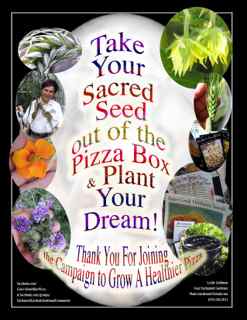 http://curezone.com/upload/Blogs/Your_Enchanted_Gardener/SACRED_SEED_OUT_OF_BOX_SMALL_2.jpg