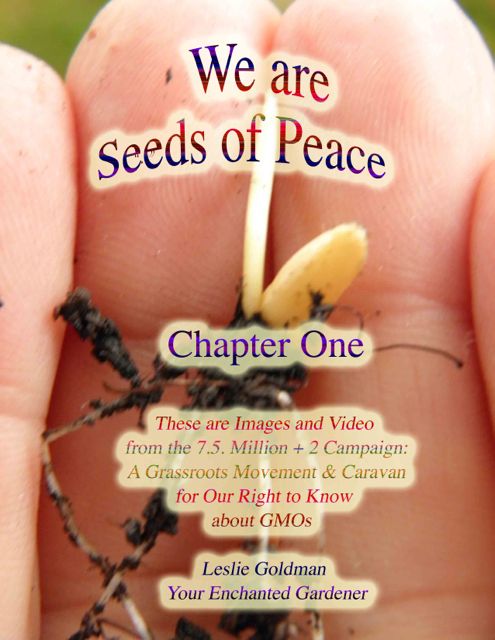 http://curezone.com/upload/Blogs/Your_Enchanted_Gardener/Seeds_of_Peace_Video_Chapter_One_1.jpg