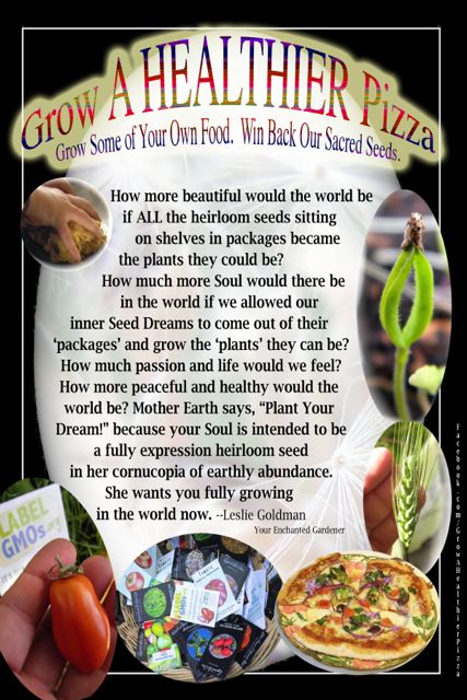 http://curezone.com/upload/Blogs/Your_Enchanted_Gardener/Seeds_on_Shelf_Baker_Creek_Version_WIN_BACK_OUR_SACRED_SEEDS_8x12_VERS.jpg