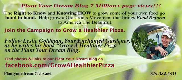 http://curezone.com/upload/Blogs/Your_Enchanted_Gardener/Spring_Biz_Card_2013_Campaign_to_Grow_A_Healthier_Pizza_Medium1.jpg