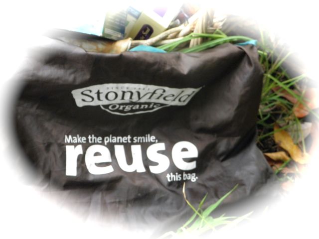 http://curezone.com/upload/Blogs/Your_Enchanted_Gardener/Stonyfield_Bag_Reuse.jpg