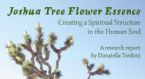 http://curezone.com/upload/Blogs/Your_Enchanted_Gardener/tn-JOSHUA_TREE_BANNER1.jpg