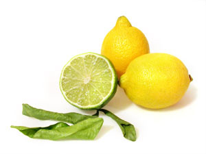 http://curezone.com/upload/ClipArt/lemonlime.jpg