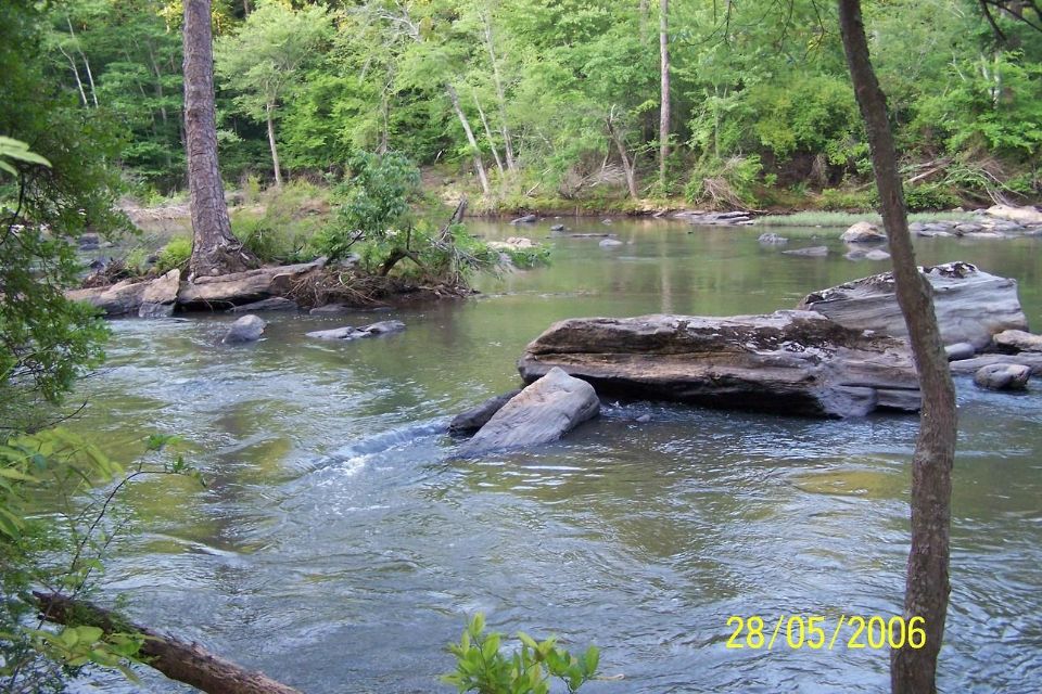 http://curezone.com/upload/blogs/kerminator/nature/Calm_water_Swift_water.jpg