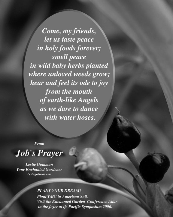 http://curezone.com/upload/blogs/your_enchanted_gardener/Job_s_Prayer_1_06_b_web.jpg