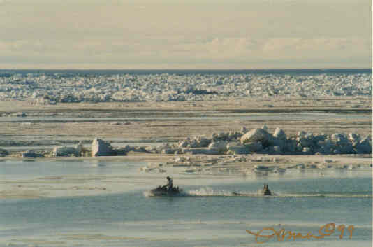 http://curezone.com/upload/members/new01/Barrow.Alaska.jpg