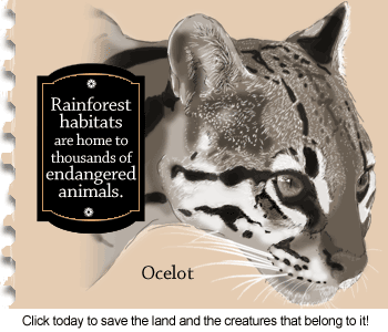 http://curezone.com/upload/members/new01/Ocelot.gif